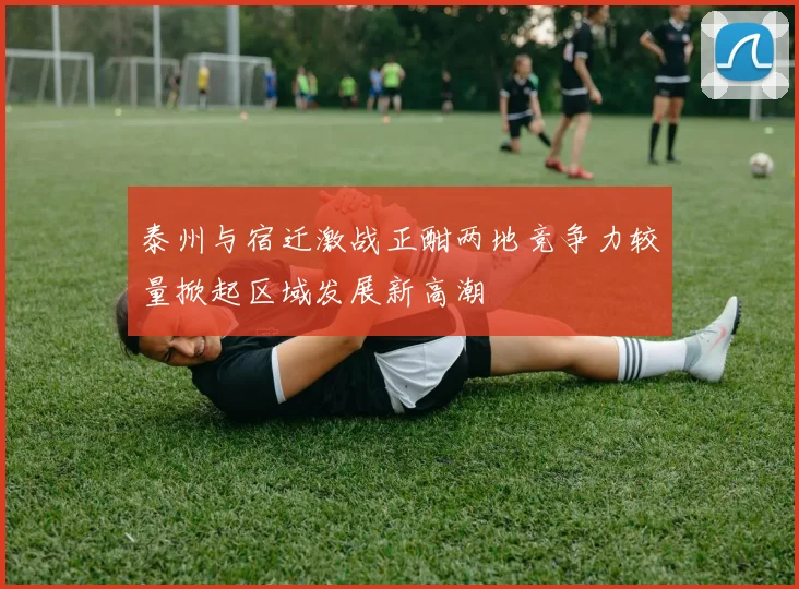 泰州与宿迁激战正酣两地竞争力较量掀起区域发展新高潮