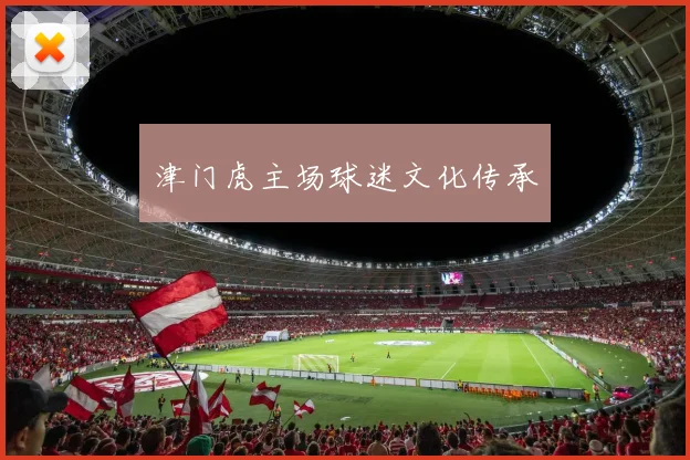 津门虎主场球迷文化传承