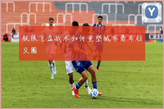 极限飞盘战术如何重塑城市青年社交圈
