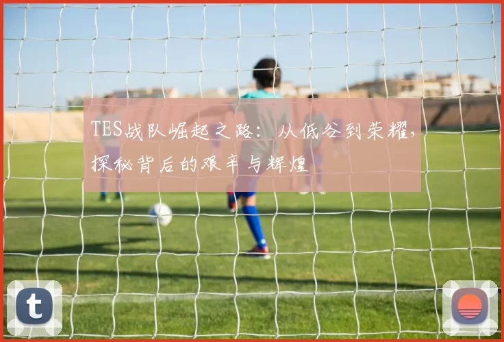 TES战队崛起之路：从低谷到荣耀，探秘背后的艰辛与辉煌
