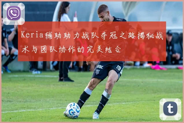 Keria辅助助力战队夺冠之路揭秘战术与团队协作的完美结合