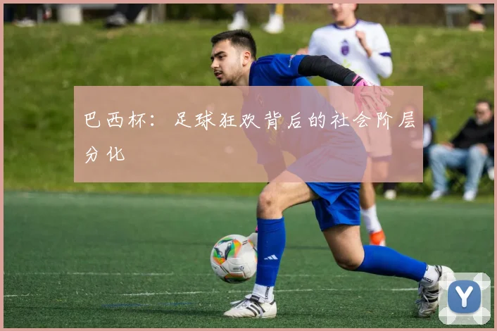 巴西杯：足球狂欢背后的社会阶层分化