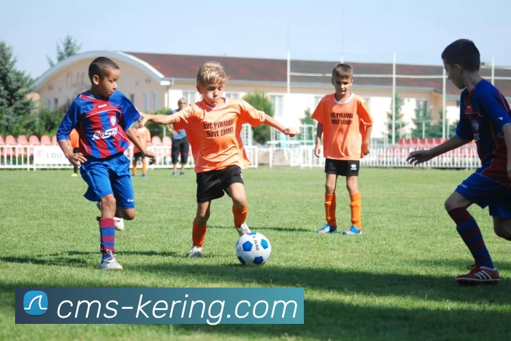 开云平台生态图